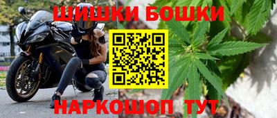 стафф Ставрополь