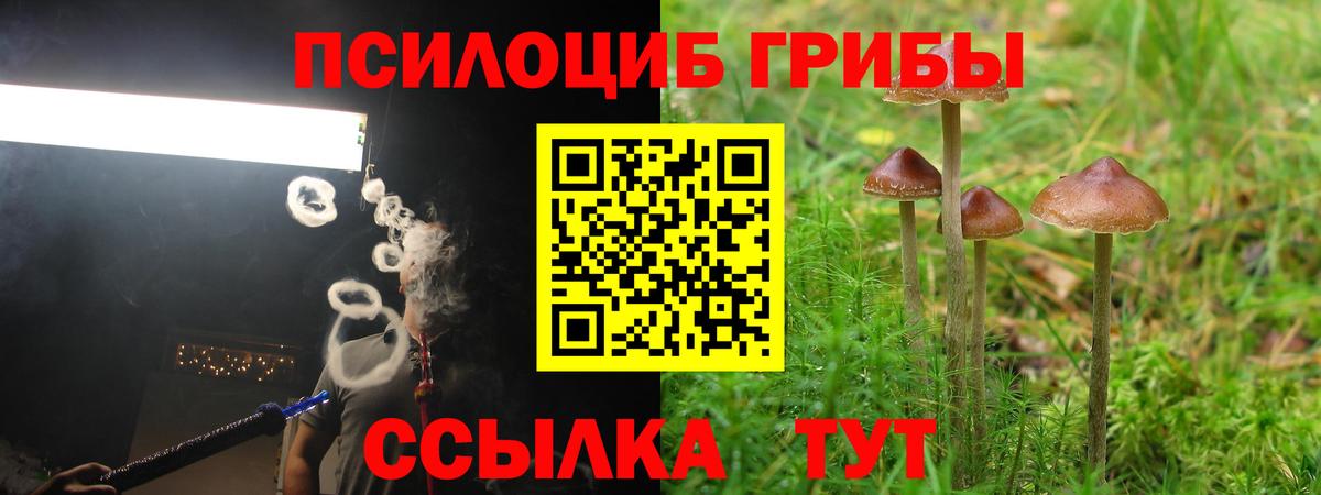 Псилоцибиновые грибы Cubensis Балашиха